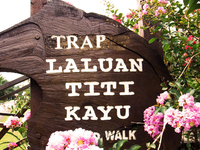 Trap Sungkai Board Walk Trap Sungkai Board Walk
