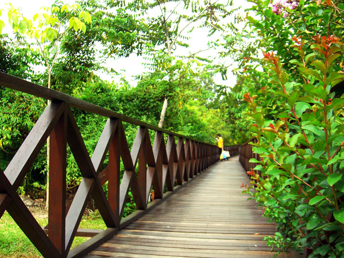 Board Walk Sungkai Hot Springs Board Walk Sungkai Hot Springs