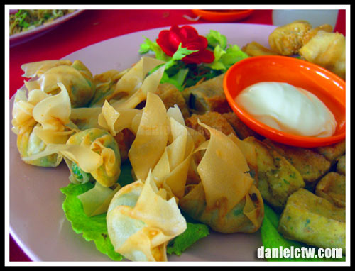 fried wanton