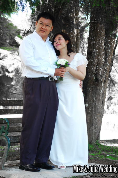 Wedding Shot Cameron Highland