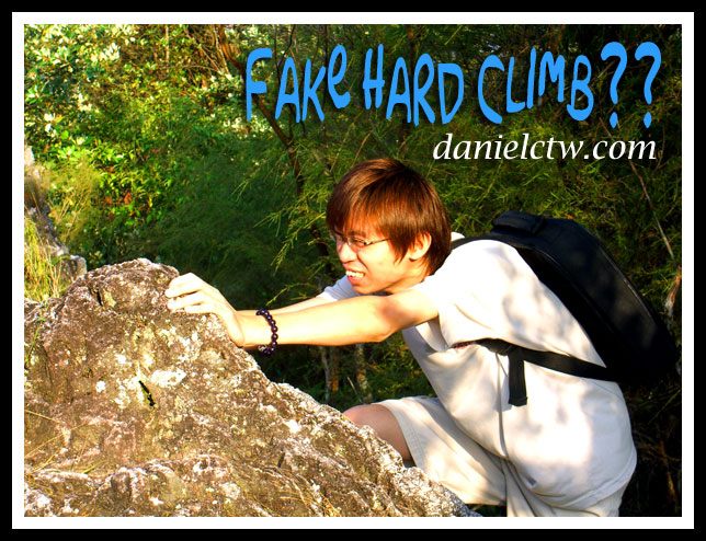 Mouse Law with Fake Climb Up Rock