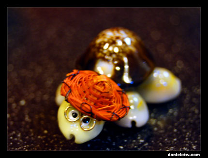 Turtle Alone
