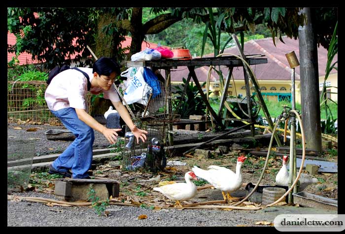Bro chasing the Duck