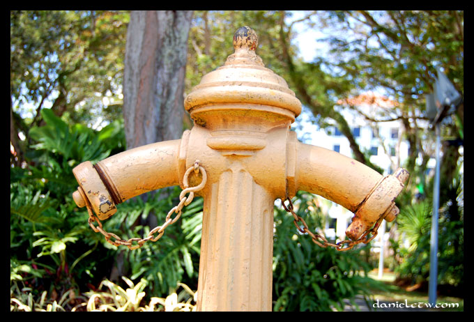Weird Fire Hydrant