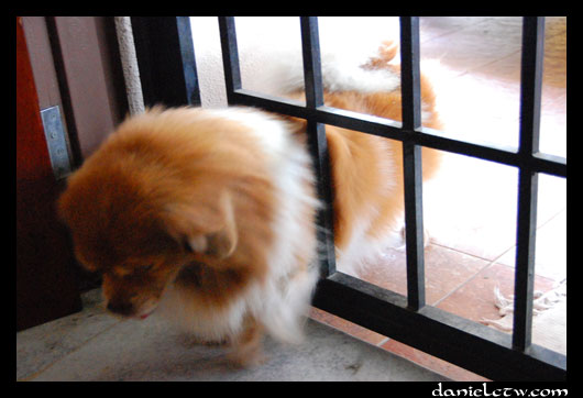 Narrow Gate