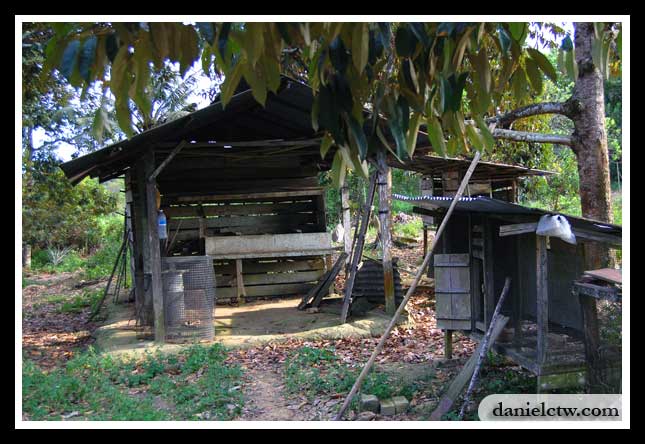 Wooden Shack