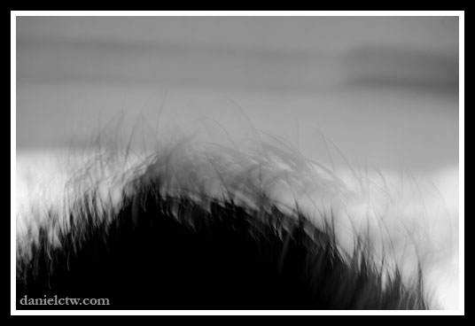 Black Fire