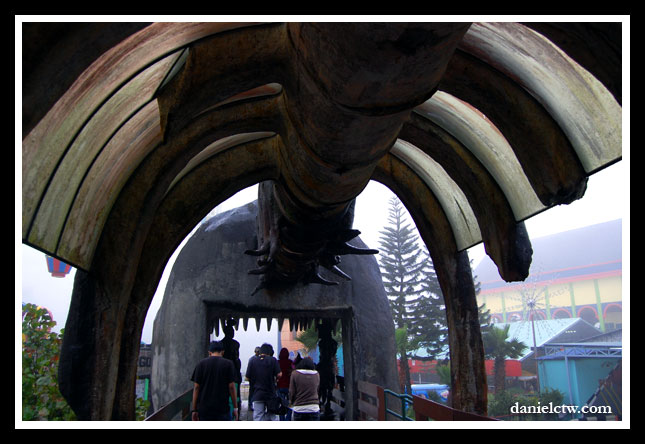 Dinosaur Bone