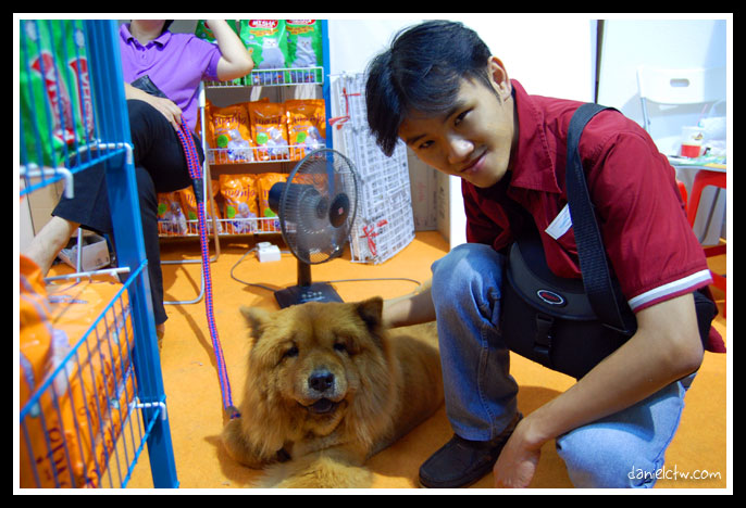 Danielctw and the Lion