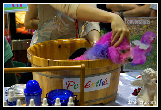 Doggy Spa
