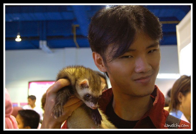 danielctw and ferret