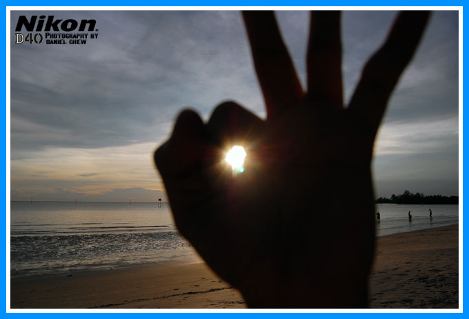 Bunny Hand Sunlight Bunny Hand Sunlight