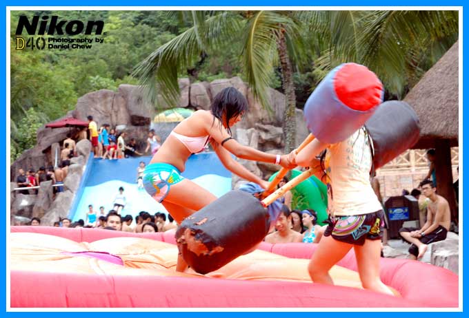 Greeted By Girls In Bikini
