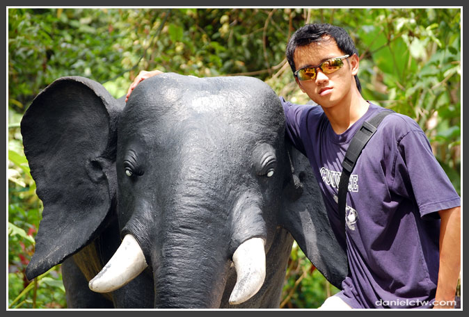 danielctw with elephant danielctw with elephant