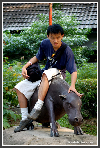 danielctw on the hippo danielctw on the hippo