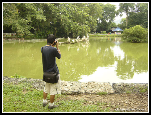 Real Reflection Photo
