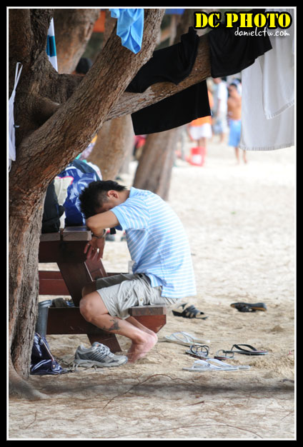 Sleepy At The Beach Sleepy At The Beach