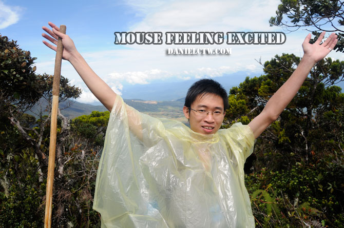 Excited Mouse Law on Kinabalu Mountain Excited Mouse Law on Kinabalu Mountain