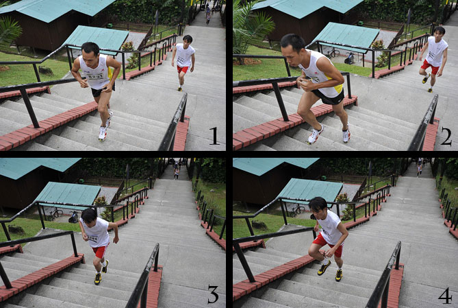 Crazy Run Lake Garden Stairs