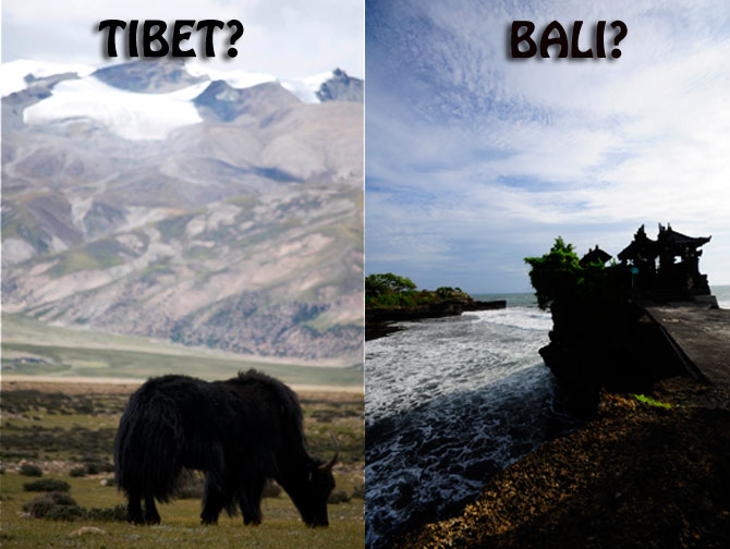 Tibet or Bali