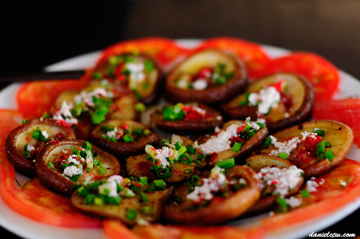 Mushroom Tibet Special Mushroom Tibet Special