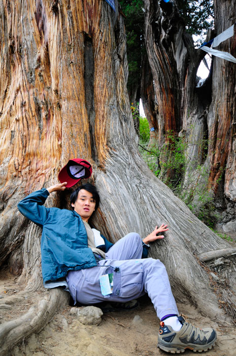 DanielCtw Exhausted at Giant Cypress Tree DanielCtw Exhausted at Giant Cypress Tree
