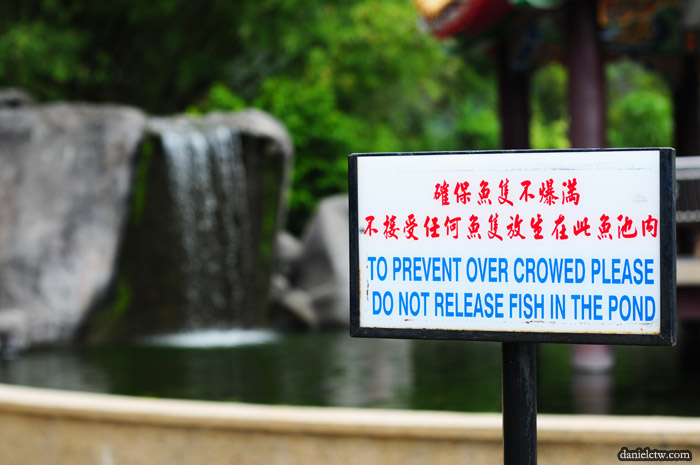 Fish Pond Bokeh Fish Pond Bokeh