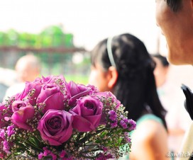 purple rose