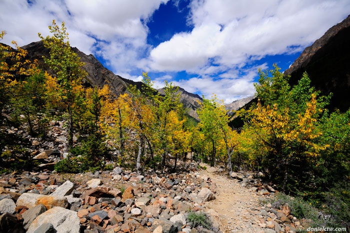Trail to the Midui Glacier