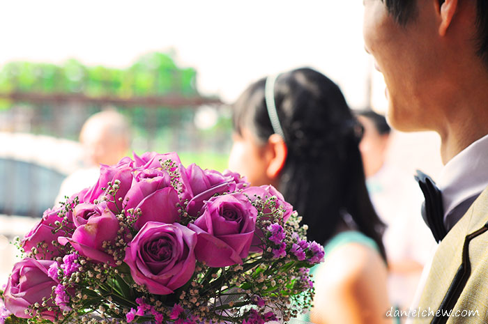 purple rose
