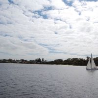 Yatch Swan Lake